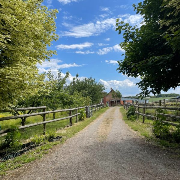 LH Ecurie de la Forêt de Lyons 2022 (22) (1)